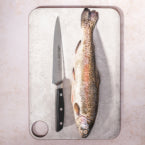 Fish knives