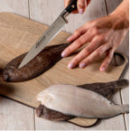 Sole fillet knife