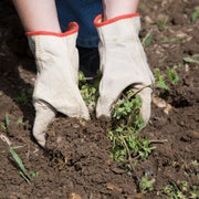 Accessoires Jardinier et Paysagiste