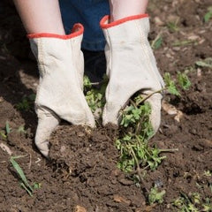 Accessoires Jardinier et Paysagiste