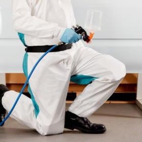 Combinaisons de peintre