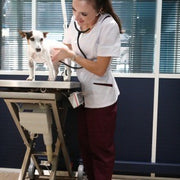 Pantalons vétérinaire
