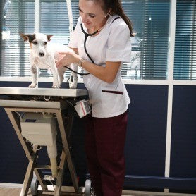 Pantalons vétérinaire