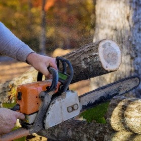 Vêtements pour bûcheron / élagueur