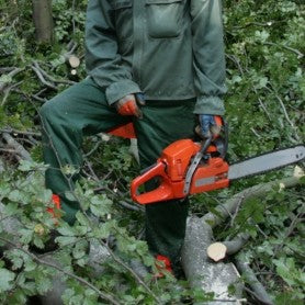 Veste de travail pour bûcheron & travailleur forestier