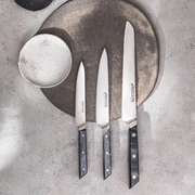 Couteaux, trousses & sets Arcos