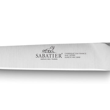 Lame 20 cm en acier inox