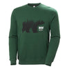 Sweat Shirt à Capuche Homme Graphic Vert - HELLY HANSEN