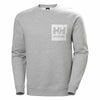 Sweat Shirt à Capuche Homme Graphic Gris Clair - HELLY HANSEN
