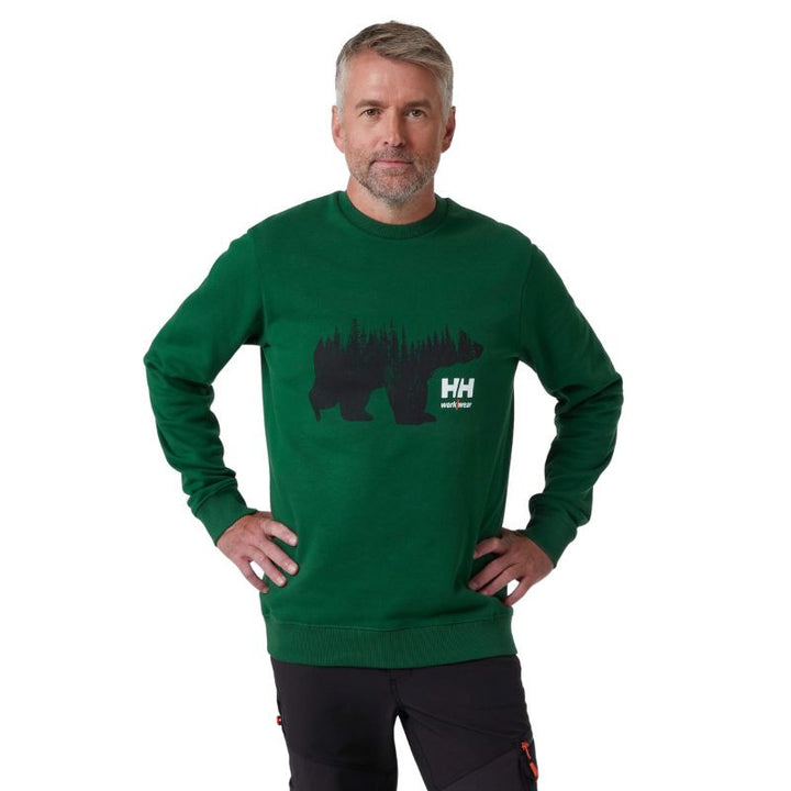 Sweat Shirt à Capuche Homme Graphic Vert - HELLY HANSEN