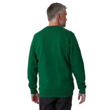 Dos Sweat Shirt à Capuche Homme Graphic Vert - HELLY HANSEN