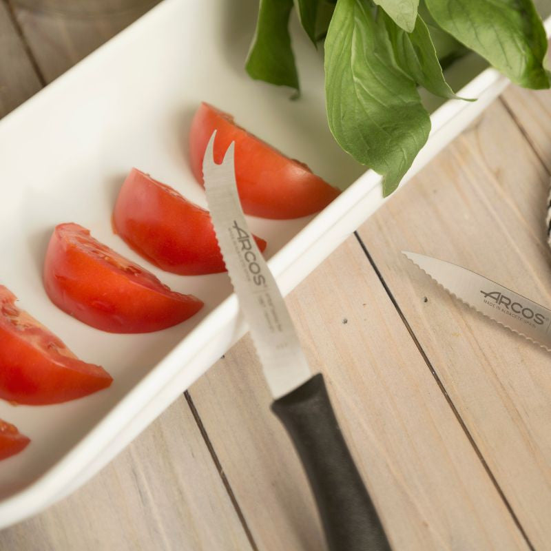 Couteau à Fromage Série Nova 10,5cm