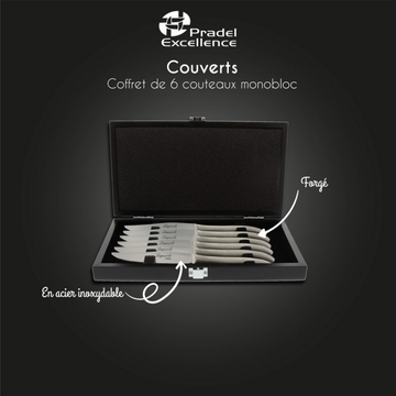 COFFRET 6 COUTEAUX LAGUIOLE INOX PRADEL
